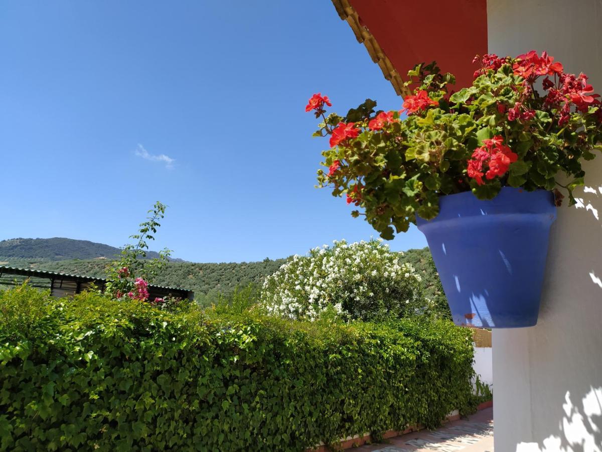 Priego de Córdoba Villa Frasquita מראה חיצוני תמונה