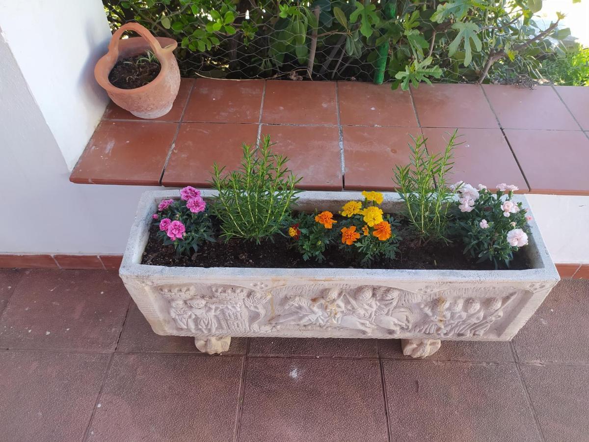 Priego de Córdoba Villa Frasquita מראה חיצוני תמונה